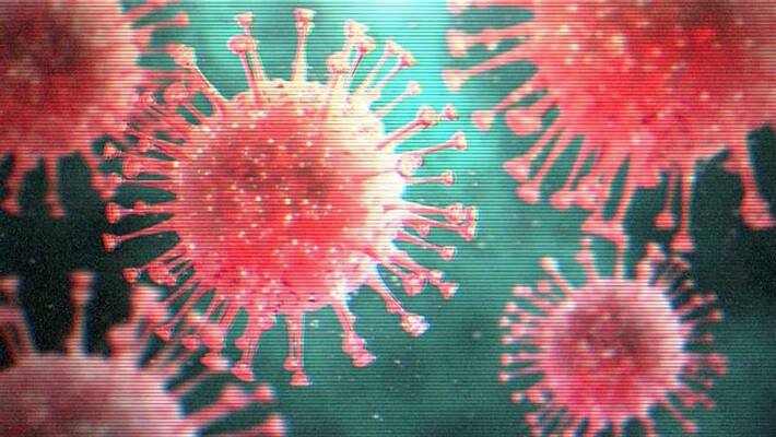 Excessive heat can destroy corona virus Excessive heat can destroy corona virus