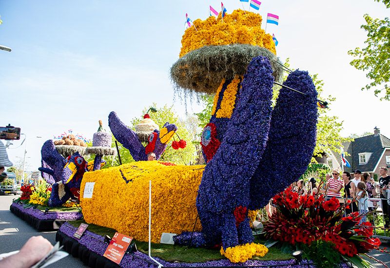 Worlds most colcouful festivals list