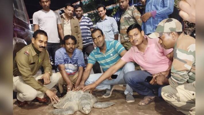A big Tortoise found in Uluberia A big Tortoise found in Uluberia