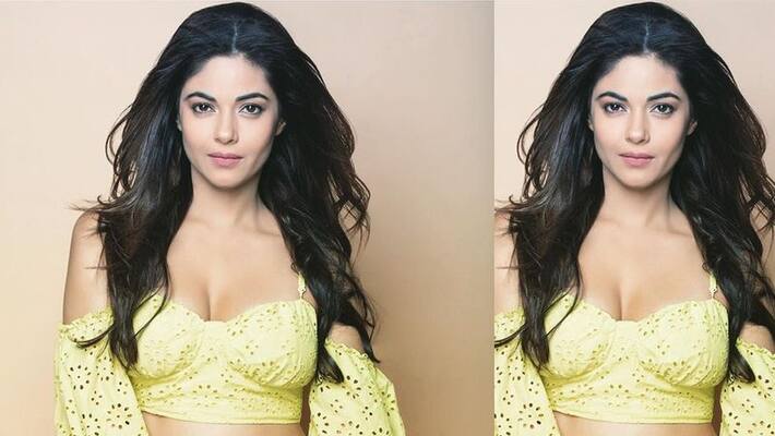 Meera Chopra threatened rape and murder from ntr fans on twitter Meera Chopra threatened rape and murder from ntr fans on twitter