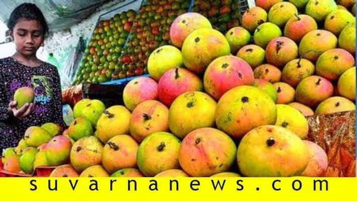 Good rate to Mango in Koppal district during LockDown Good rate to Mango in Koppal district during LockDown