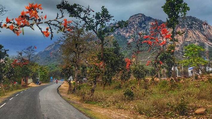 A different Dol Utsav in Purulia A different Dol Utsav in Purulia