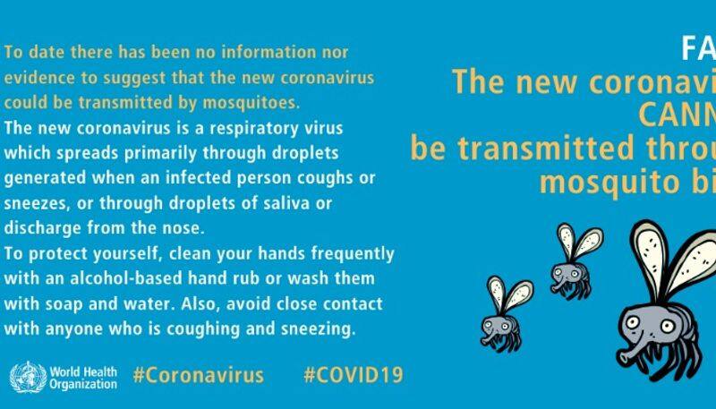 Covid 19 cannot be transmitted through mosquito bites says WHO