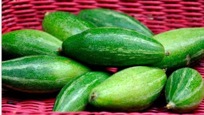 Pointed Gourd has many health benefits Pointed Gourd has many health benefits