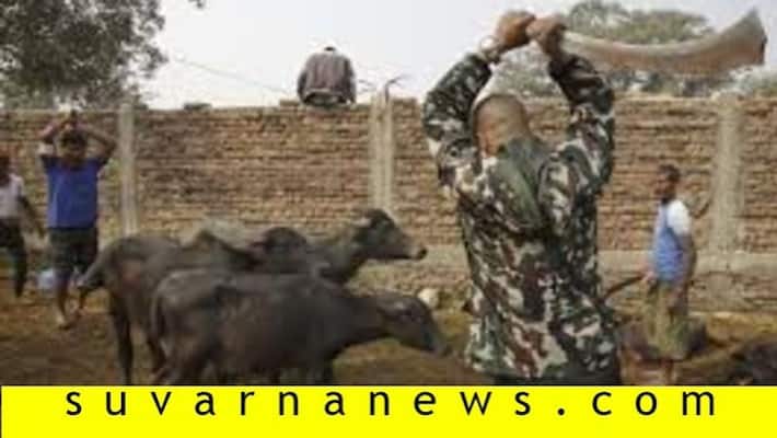 People shuts temple in tumakur as they not allowed for Animal sacrifice People shuts temple in tumakur as they not allowed for Animal sacrifice