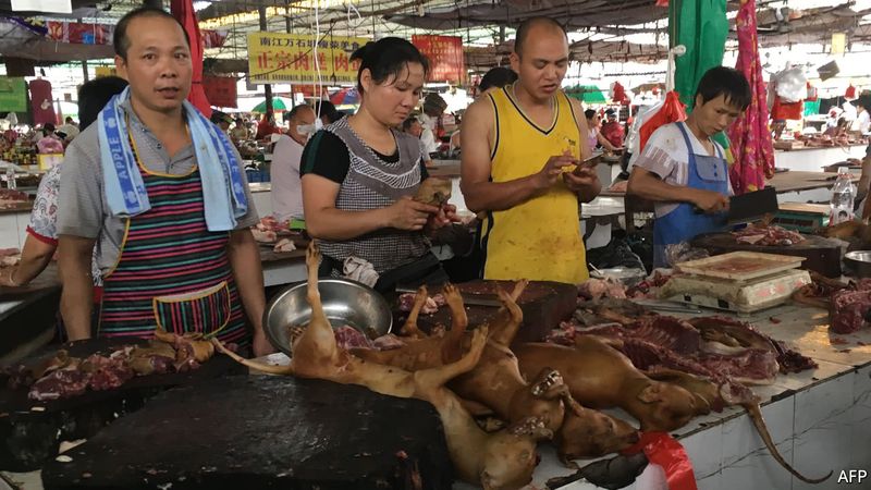 Horrific photos of dog market in china from where corona virus outbreak kph