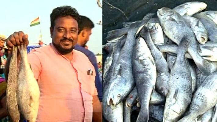Amid coronavirus scare, 'Corona' fish arrives at Mangaluru port Amid coronavirus scare, 'Corona' fish arrives at Mangaluru port