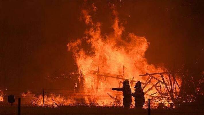 A fire broke in the jungle of Shalbani A fire broke in the jungle of Shalbani