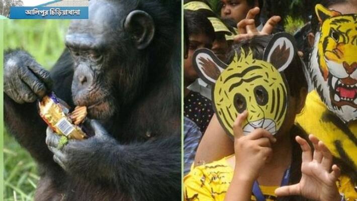 kolkata Alipore Zoo employees are wearing mask every time kolkata Alipore Zoo employees are wearing mask every time