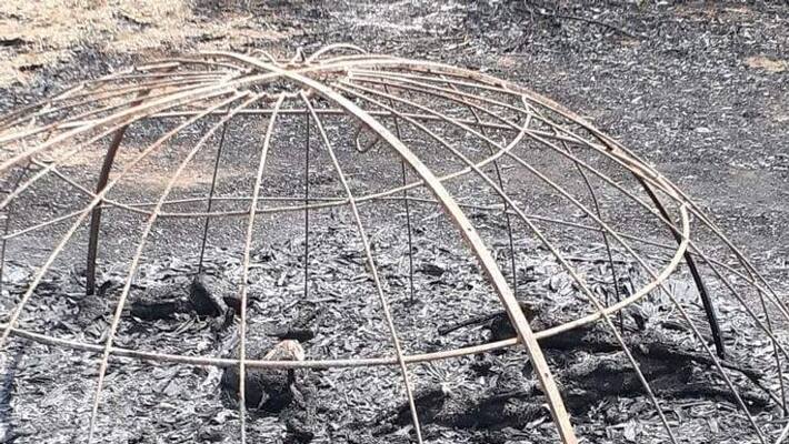 60 goats died in a fire accident 60 goats died in a fire accident