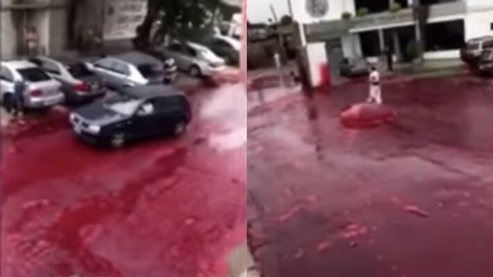 Street become a sea of blood after slaughterhouse accident in Moron Street become a sea of blood after slaughterhouse accident in Moron