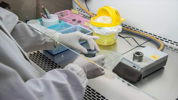 Johnson and Johnson drug industry announce corona virus vaccine research is success Johnson and Johnson drug industry announce corona virus vaccine research is success