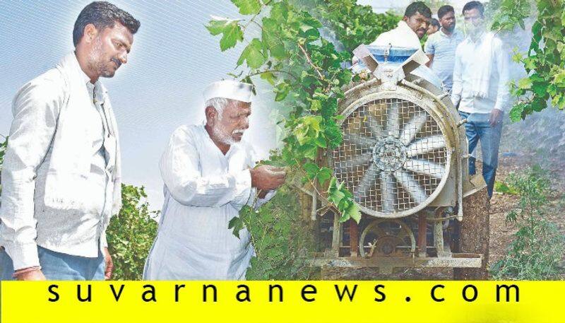 Kalaburgi farmer Siddaramappa grapes pantation