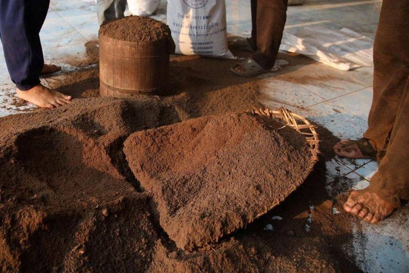 Thailand villagers collecting bat guano can get infected with corona virus kph