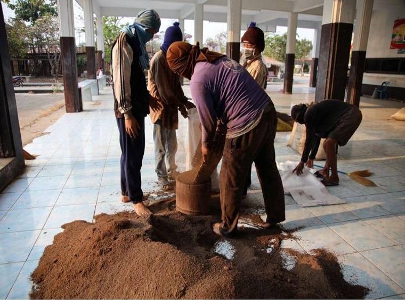 Thailand villagers collecting bat guano can get infected with corona virus kph