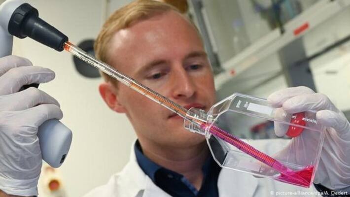 in summer coronavirus will stay says European union report in summer coronavirus will stay says European union report