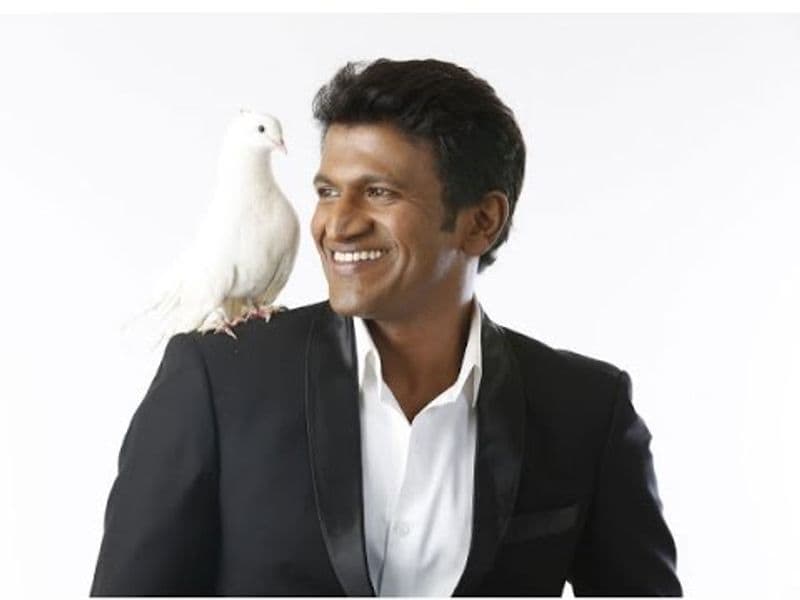Puneeth Rajkumar no more: Net worth to education to children; here's everything you need to know-SYT