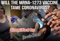 Its imperative WHO guidelines are followed to tackle Coronavirus