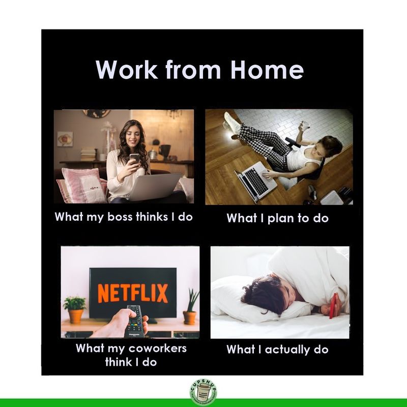 coronavirus Effect some of the funniest working from home memes
