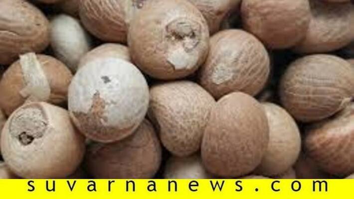 Arecanut Categorised Under Drus List BJP MLA Halappa Slams Govt pod Arecanut Categorised Under Drus List BJP MLA Halappa Slams Govt pod