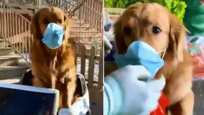viral funny photos on coronavirus social media viral kpr