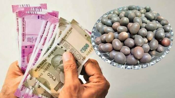 on 20th March do these remedies of kamalgatta, you may have monitory benefits KPI on 20th March do these remedies of kamalgatta, you may have monitory benefits KPI