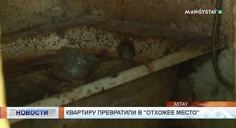 Family collected 1300 litre urine in bottles for a year inside flat kph