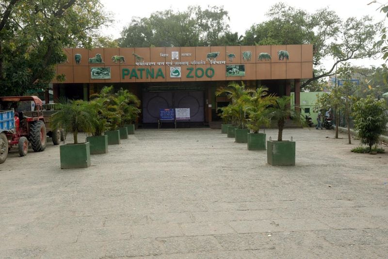 Terrorism continues to spread in 20 states of Corona virus kps