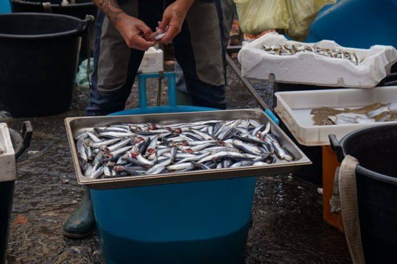Fish rate during covid 19 lockdown in kerala
