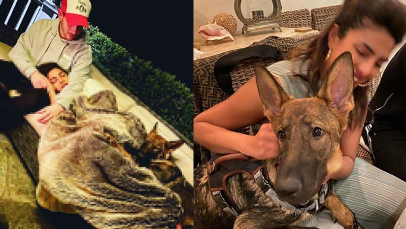 Nick Jonas take care of priyanka chopra due to corona virus See in pics KPY