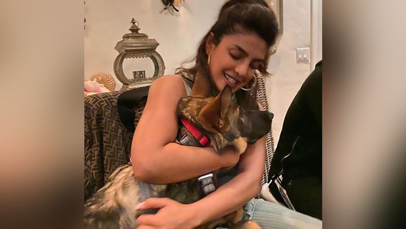 Nick Jonas take care of priyanka chopra due to corona virus See in pics KPY