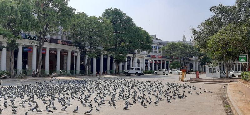 করোনার প্রকোপ এড়াতে বিশ্বের একাধিক দেশে এখন লকডাউন চলছে। যার ফলে দূষণ কমছে। ধীরে ধীরে সজীব হয়ে উঠছে আমাদের বসুন্ধরা। একই সঙ্গে দূষণের ক্ষত সারিয়ে ধীরে ধীরে সুস্থ হয়ে উঠছে বায়ুমণ্ডলের ওজন স্তর।