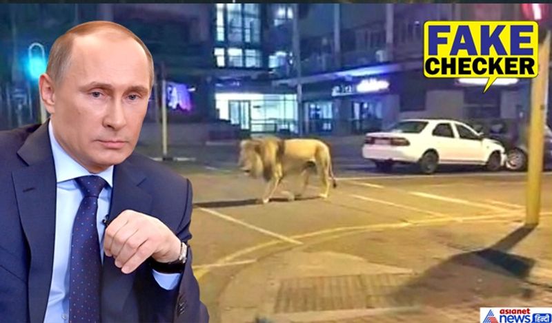 Putin left 800 lions on streets to ensure lockdown during COVID 19 Know truth kpm