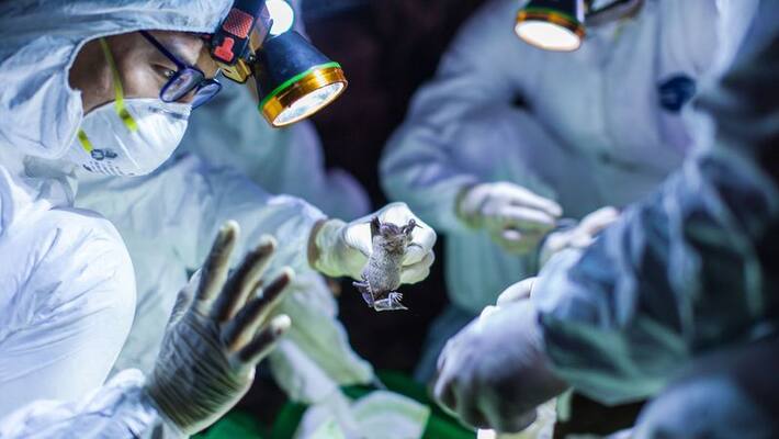 person from madurai affected by corona virus person from madurai affected by corona virus