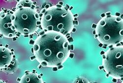 Does coronavirus attack men more than women?