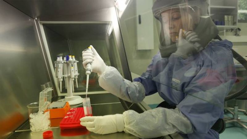 corona virus all four stages explained know about indian threat kph