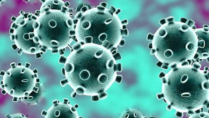 one person died in china for hanta virus amid corona virus threat