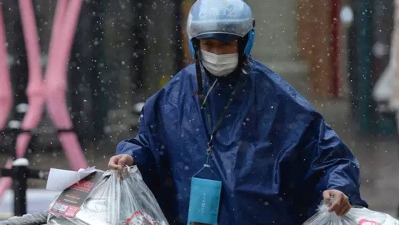 corona virus in china, Love birds can wait but combating epidemic could not KPP