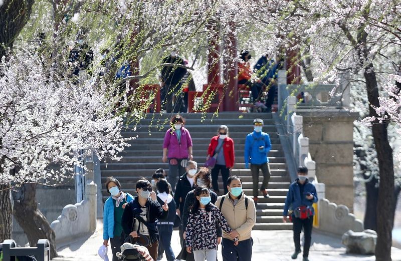 corona virus in china, Love birds can wait but combating epidemic could not KPP