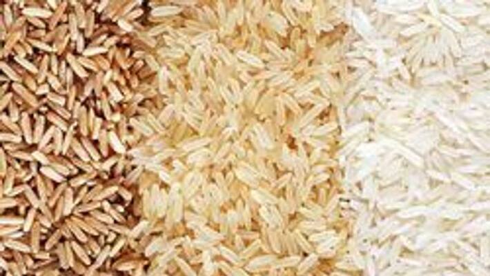 license of ration shop canceled for irregularities in ration distribution license of ration shop canceled for irregularities in ration distribution
