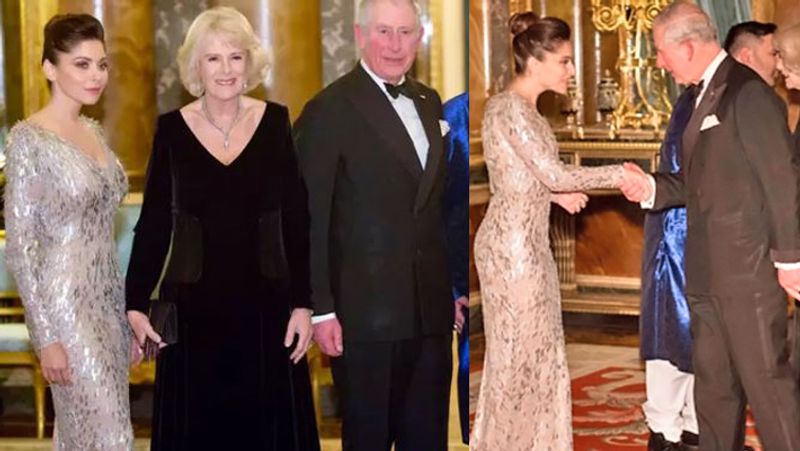 Corona Positive Kanika kapoor and Prince Charles Photos Viral KPG