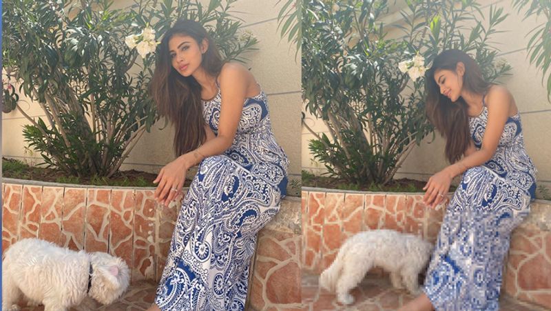 Shilpa Shetty Shared pic With Daugther Samisha And these Bollywood Celebs Spending time in their house Corona virus KPY
