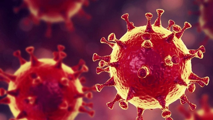 coronavirus cases in the United States reached 82,672