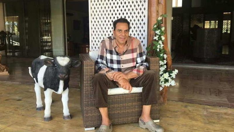 बता दें कि धर्मेंद्र अब फिल्मों में कम ही नजर आते हैं। वे अपना ज्यादातर समय अपने लोनावला वाले फॉर्महाउस पर बीताते हैं। 100 एकड़ में फैले इस फॉर्महाउस में धर्मेंद्र गाय-भैंस और बकरियां पाल रखी है। वहीं, वे खेती के साथ सब्जियां भी उगाते हैं।