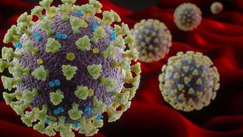 Coronavirus pandemic: 17 members of a family test positive in Islampur, Maharashtra