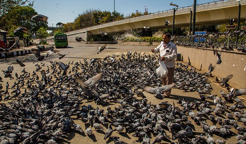 Corona Virus: Some Emotional Photos During Lock Down kpa