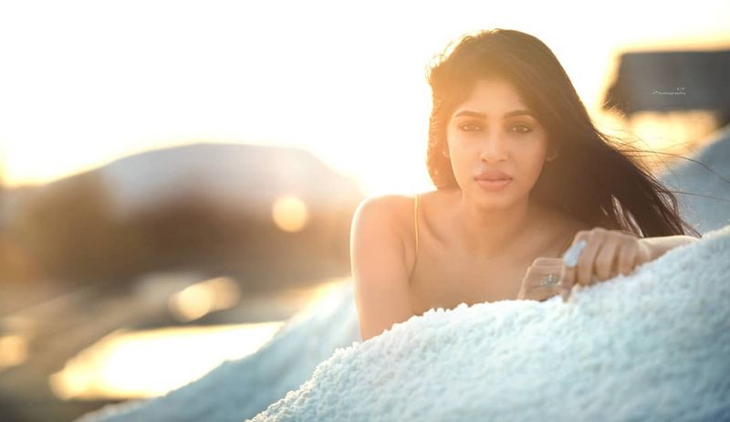 Shirleybabithra