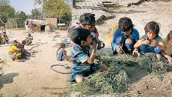 Lockdown: Kids Forced to eat Grass in PM Modi's Varanasi Constituency Lockdown: Kids Forced to eat Grass in PM Modi's Varanasi Constituency