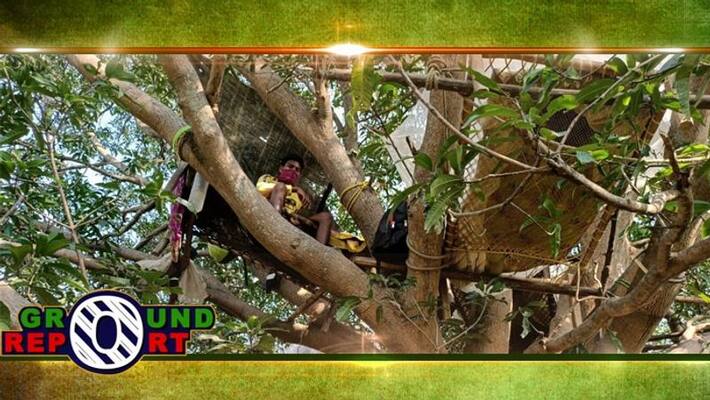 People choose tree quarantine in purulia People choose tree quarantine in purulia