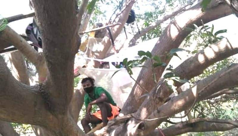 West Bengal youth set up tent on trees to evict corona Viral Photos .. !!